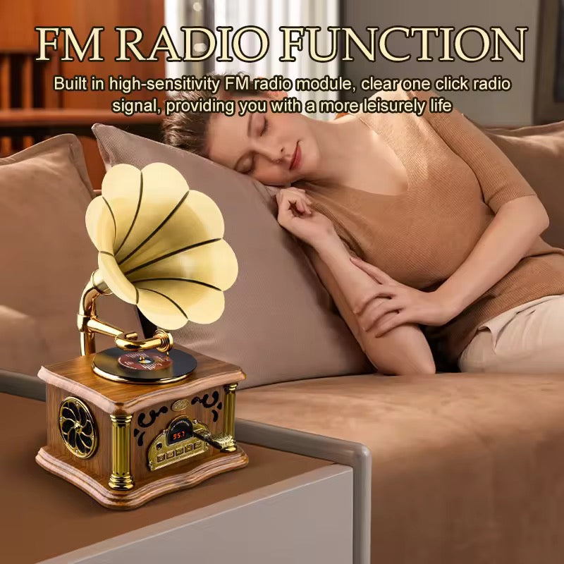 Retro Record Player Speaker - Vintage Turntable Design - Classic Details